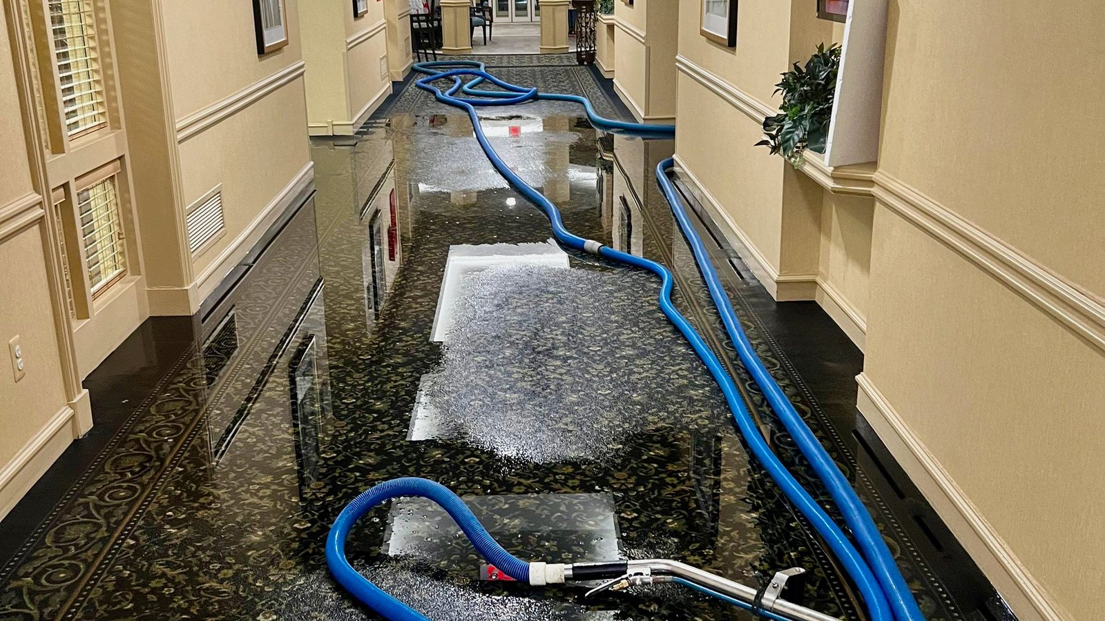 orange county water damage restoration, water damage restoration orange county, water damage restoration orange county ca, flood damage restoration orange county, mold removal orange county, orange county mold removal,